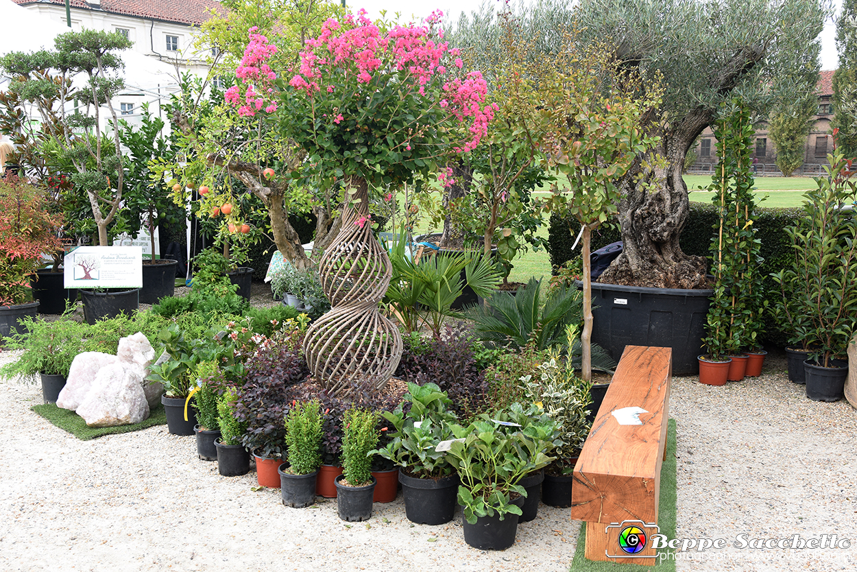 VBS_3439 - Floreal 2023 - Vivere con le piante.jpg